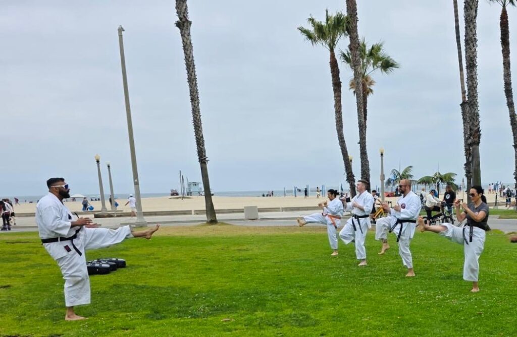 Goju Ryu Seiwa Kai Block Training Tips