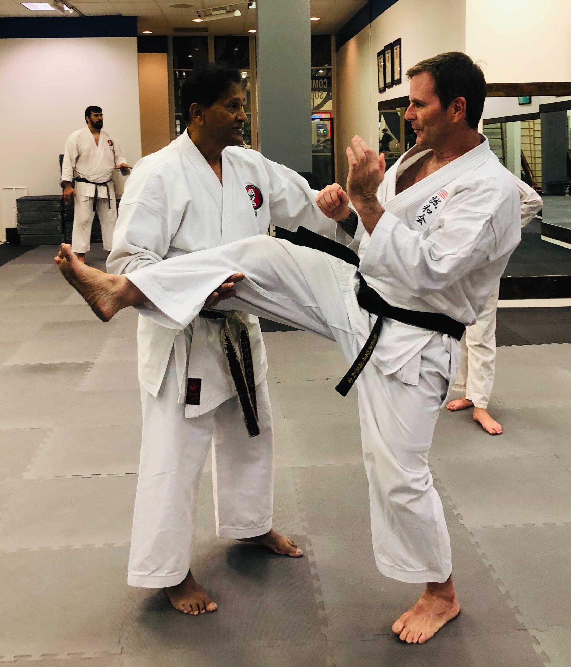 Senior black belt instruction during elite private karate lessons at Karate of LA.