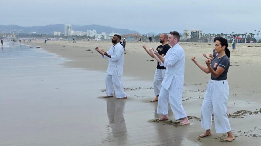 Santa Monica Beach Karate Training Tips A line of traditional Goju-Ryu karate students practicing martial arts forms on the wet sand at Santa Monica Beach