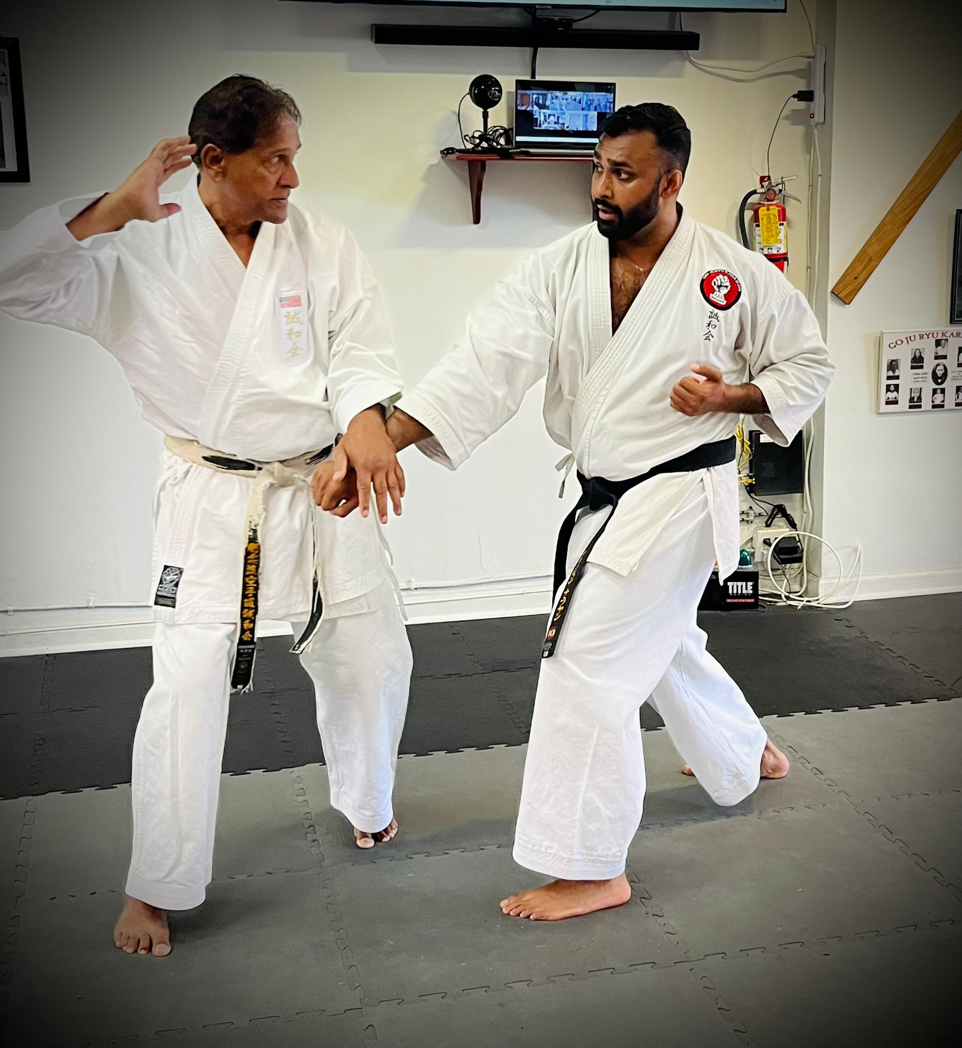 Shihan Vassie Naidoo directing an international traditional karate seminar for instructors and students worldwide.