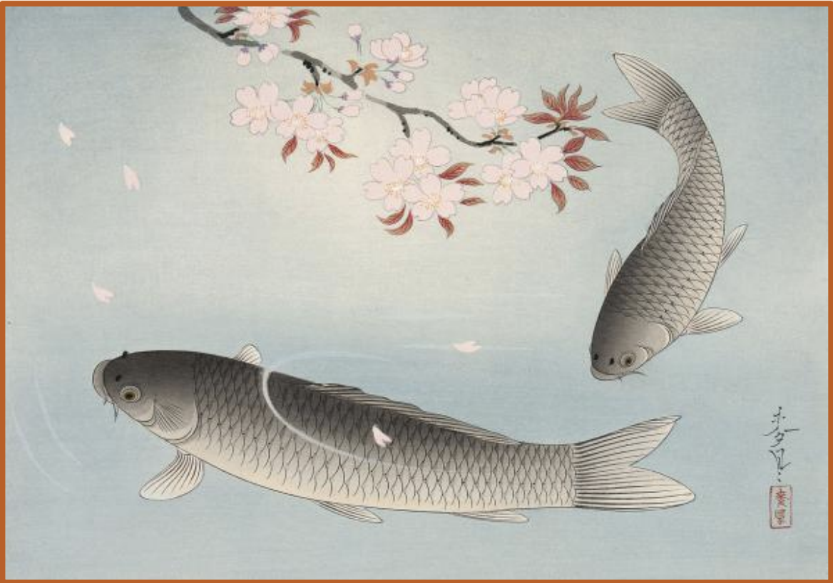 Seiwa-Kai Newsletter Issue 23 Cover Artwork - Bakufu, Ohno: Cherry Blossom and Two Carp