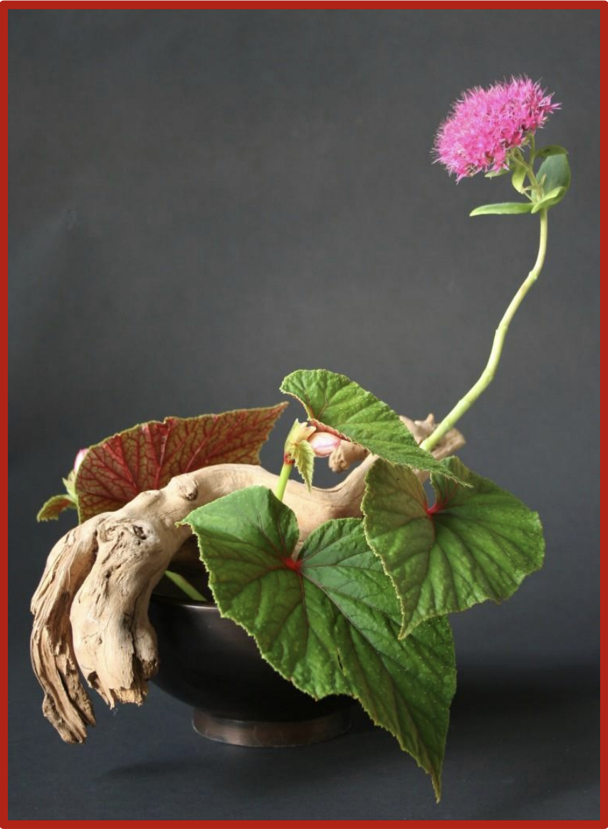 Seiwa-Kai Newsletter Issue 15 Cover Artwork - Tasaki Shoji: Ikebana Floral Arrangement